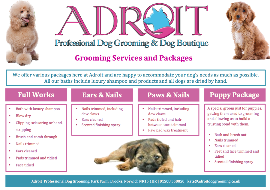 dog clipping services